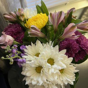 Meet your Posher, Tracey